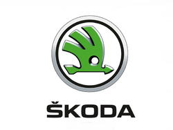 Tipske gumijaste preproge za Škoda